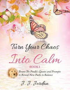 Turn Your Chaos Into Calm - Jordan, J. J.