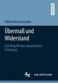 Übermaß und Widerstand (eBook, PDF)