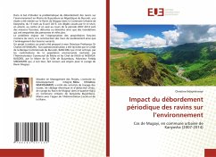 Impact du débordement périodique des ravins sur l¿environnement - Ndayishimiye, Christine