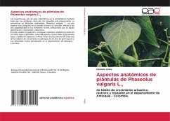 Aspectos anatómicos de plántulas de Phaseolus vulgaris L.,