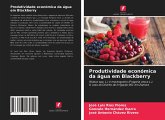 Produtividade económica da água em Blackberry