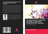 Caracterização molecular da ESBL que produz Klebsiella SPP isolados