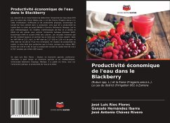 Productivité économique de l'eau dans le Blackberry - Ríos Flores, José Luis;Hernández Ibarra, Gonzalo;Chávez Rivero, José Antonio