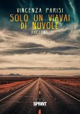 Solo un viavai di nuvole (eBook, ePUB)