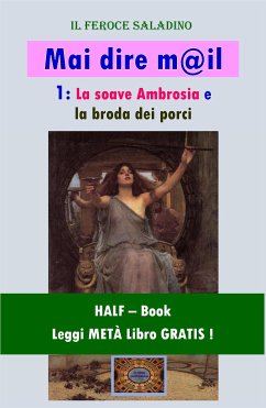 Mai dire mail - 1 (HALF-Book) (eBook, ePUB) - Finetti, Dino; Saladino, Feroce