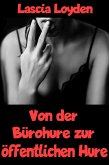 Von der Bürohure zur öffentlichen Hure (eBook, ePUB)