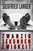 Zwanzig Sekunden Ewigkeit (eBook, ePUB)