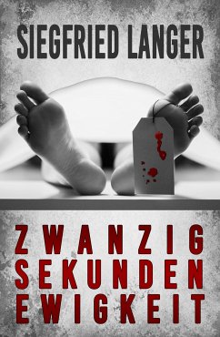 Zwanzig Sekunden Ewigkeit (eBook, ePUB) - Langer, Siegfried