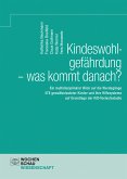 Kindeswohlgefährdung - was kommt danach? (eBook, PDF)