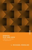 Exodus Old and New (eBook, ePUB)