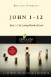John 1-12 (eBook, ePUB) - Bild 1
