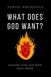 What Does God Want? (eBook, ePUB) - Bild 1