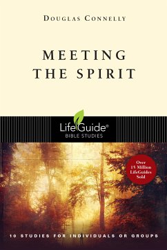 Meeting the Spirit (eBook, ePUB) - Connelly, Douglas