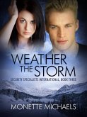Weather the Storm (eBook, ePUB) Weather the Storm (eBook, ePUB)