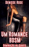 Um Romance BDSM: Dominacao no Quarto (eBook, ePUB)