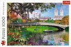 Central Park, New York City (Puzzle)