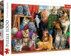 Katzen (Puzzle)