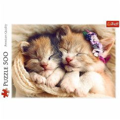 Schlafende Katzen (Puzzle)