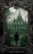 Dark Falling - Lichter der Zukunft... - Bild 1