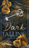 Dark Falling - Lichter der Zukunft (eBook, ePUB)