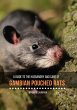 Gambian Pouched Rats : A guide to their... - Bild 1