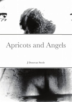 Apricots and Angels (eBook, ePUB) - Steele, J. Donovan