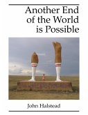 Another End of the World Is Possible (eBook, ePUB)