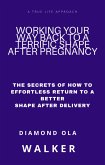 Working Your Way Back to A Terrific Shape after Pregnancy: The Secrets Of How To Effortlessly Return To A Better Shape After Delivery (eBook, ePUB)