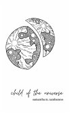 A Child of The Universe (eBook, ePUB)