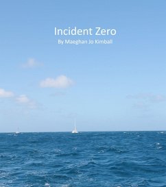Cover Incident Zero (eBook, ePUB)