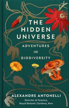 Cover The Hidden Universe (eBook, ePUB)