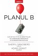 Planul B (eBook, ePUB) - Bild 1