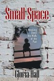 Small Space (eBook, ePUB)