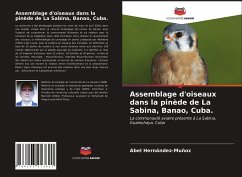Assemblage d'oiseaux dans la pinède de La Sabina, Banao, Cuba. - Hernández-Muñoz, Abel