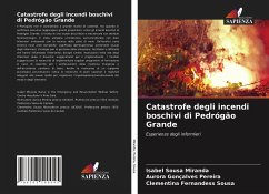 Catastrofe degli incendi boschivi di Pedrógão Grande - Miranda, Isabel Sousa;Pereira, Aurora Gonçalves;Sousa, Clementina Fernandess