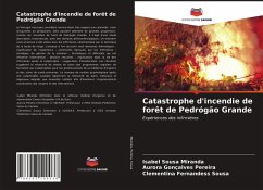 Cover Catastrophe d'incendie de forêt de Pedrógão Grande