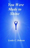 You Were Made to Shine (eBook, ePUB)