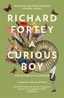 A Curious Boy (eBook, ePUB) - Bild 1