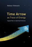 Time Arrow as Trace of Energy (eBook, ePUB)