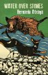 Water over Stones - Bild 1