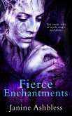 Fierce Enchantments (eBook, ePUB)