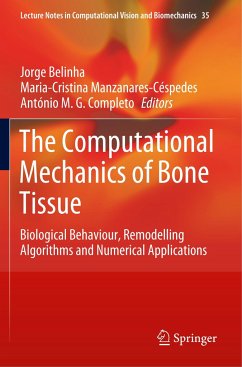 The Computational Mechanics of Bone Tissue