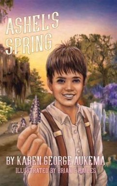 Ashel's Spring (eBook, ePUB) - Aukema, Karen