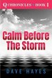 Calm Before The Storm (eBook, ePUB) - Bild 1