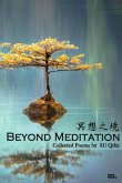 Beyond Meditation: 冥想之境