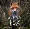 How to Find a Fox - Bild 1