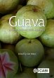 Guava - Bild 1