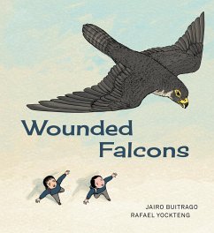 Cover Wounded Falcons