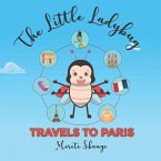 The little Ladybug travels to Paris