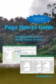 Pega How-to Guide: Exporting Data to Excel (Master Beaver Version)